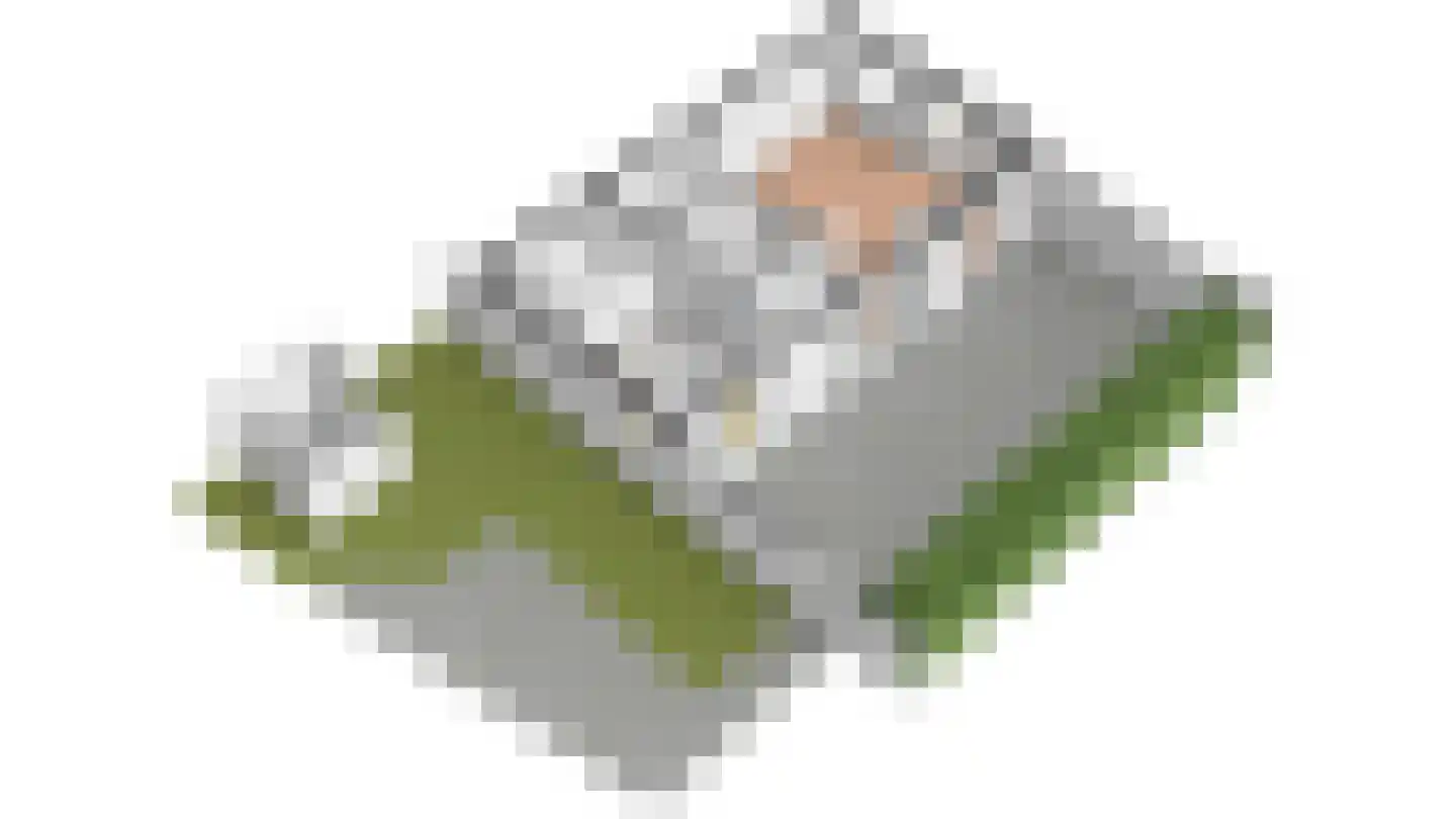 Roggeslootweg 201 De Cocksdorp thumbnail 50