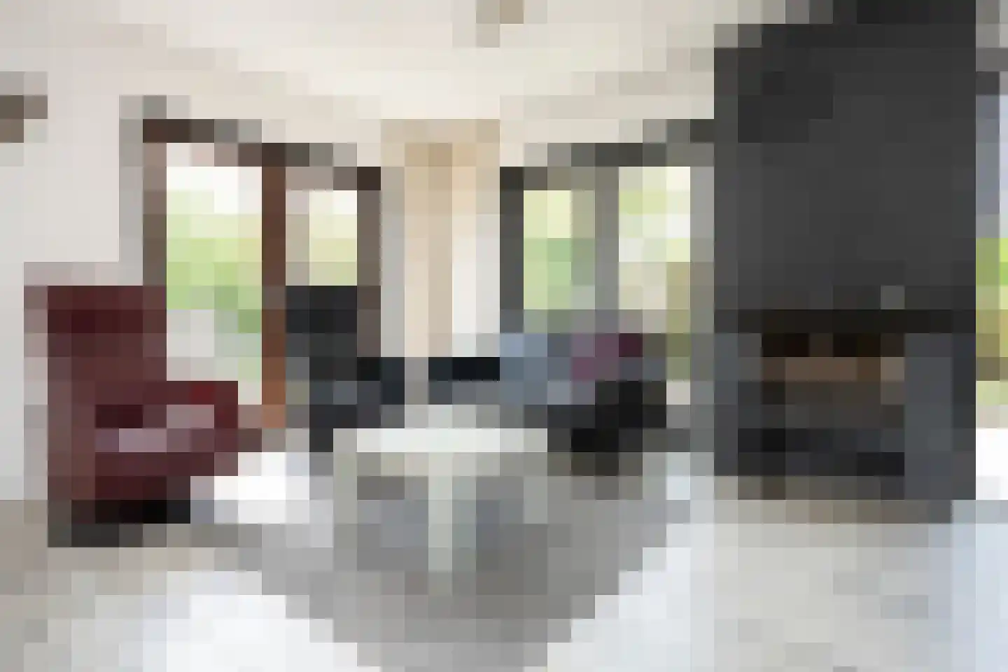 Roggeslootweg 201 De Cocksdorp thumbnail 6