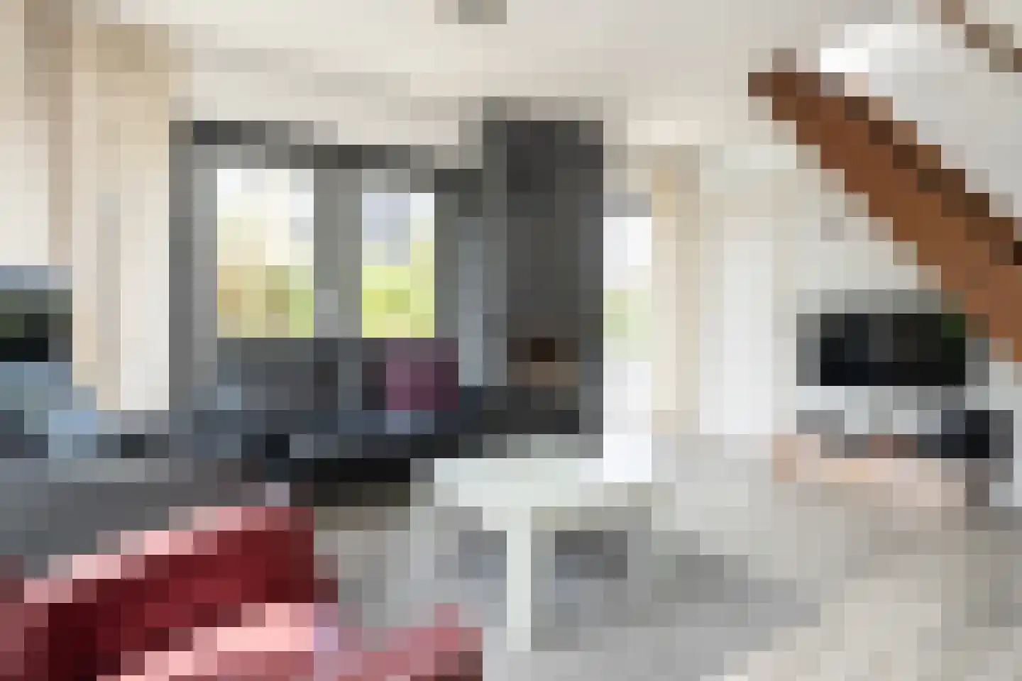 Roggeslootweg 201 De Cocksdorp thumbnail 7