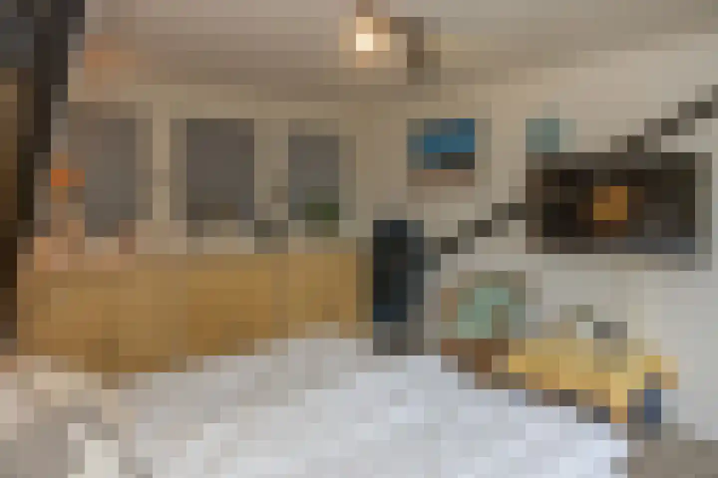 Roggeslootweg 225 De Cocksdorp thumbnail 17