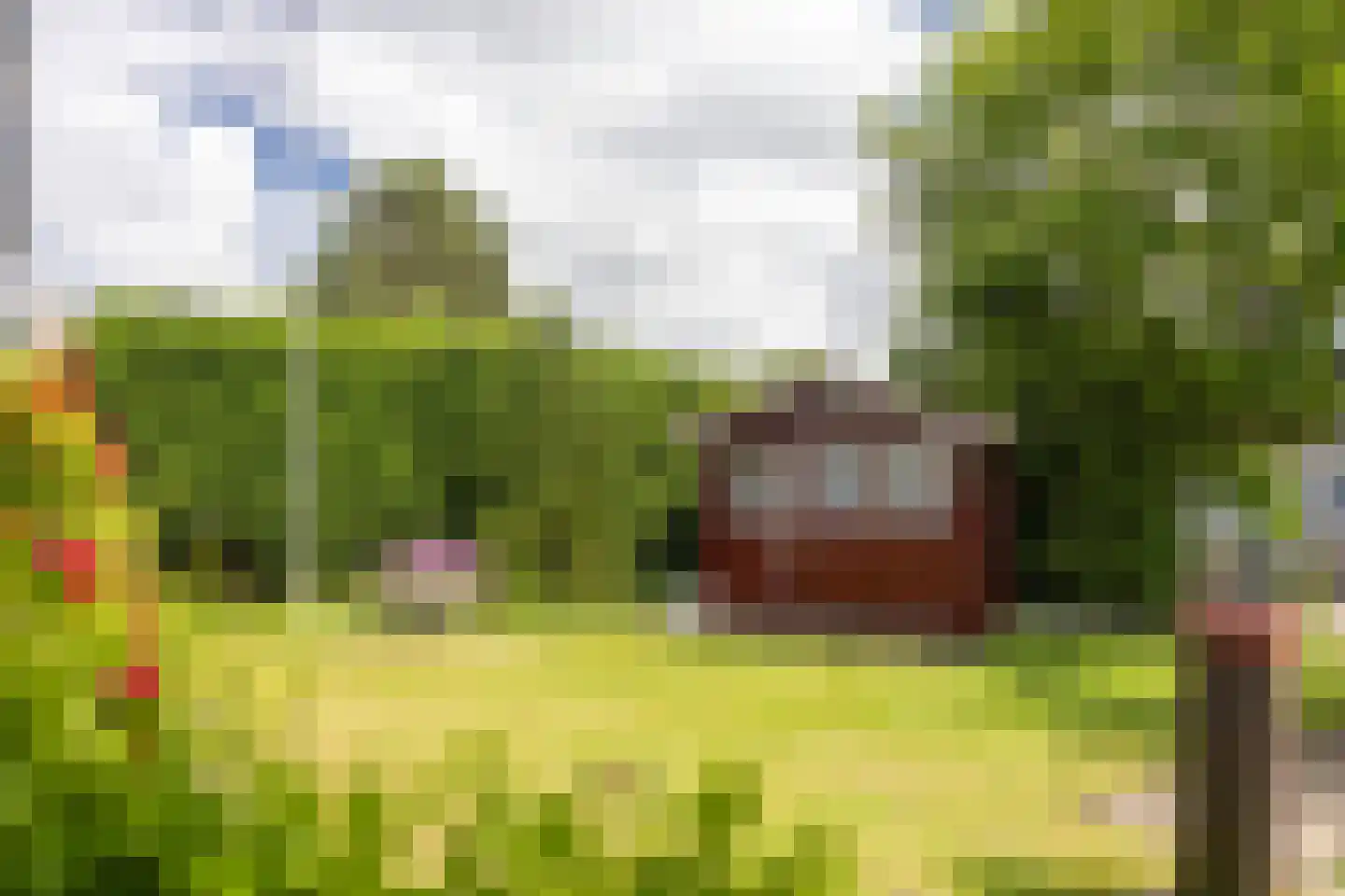 Roggeslootweg 225 De Cocksdorp thumbnail 27
