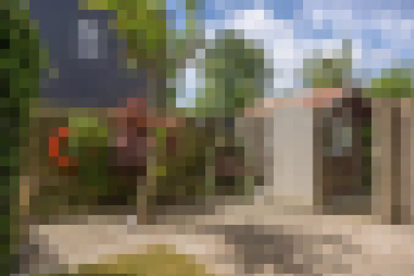 Roggeslootweg 225 De Cocksdorp thumbnail 31