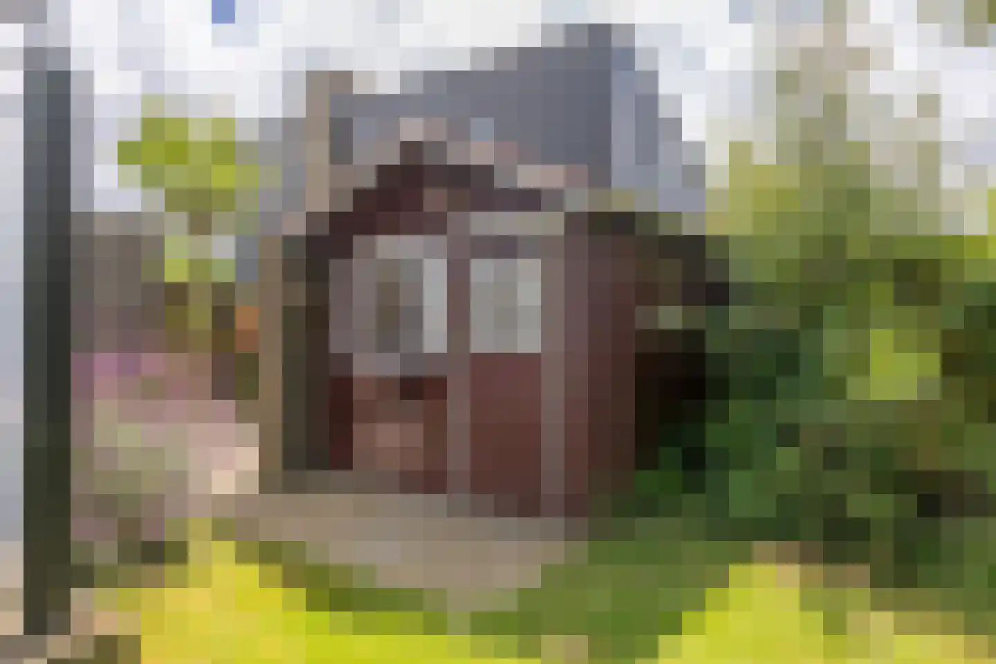 Roggeslootweg 225 De Cocksdorp thumbnail 32