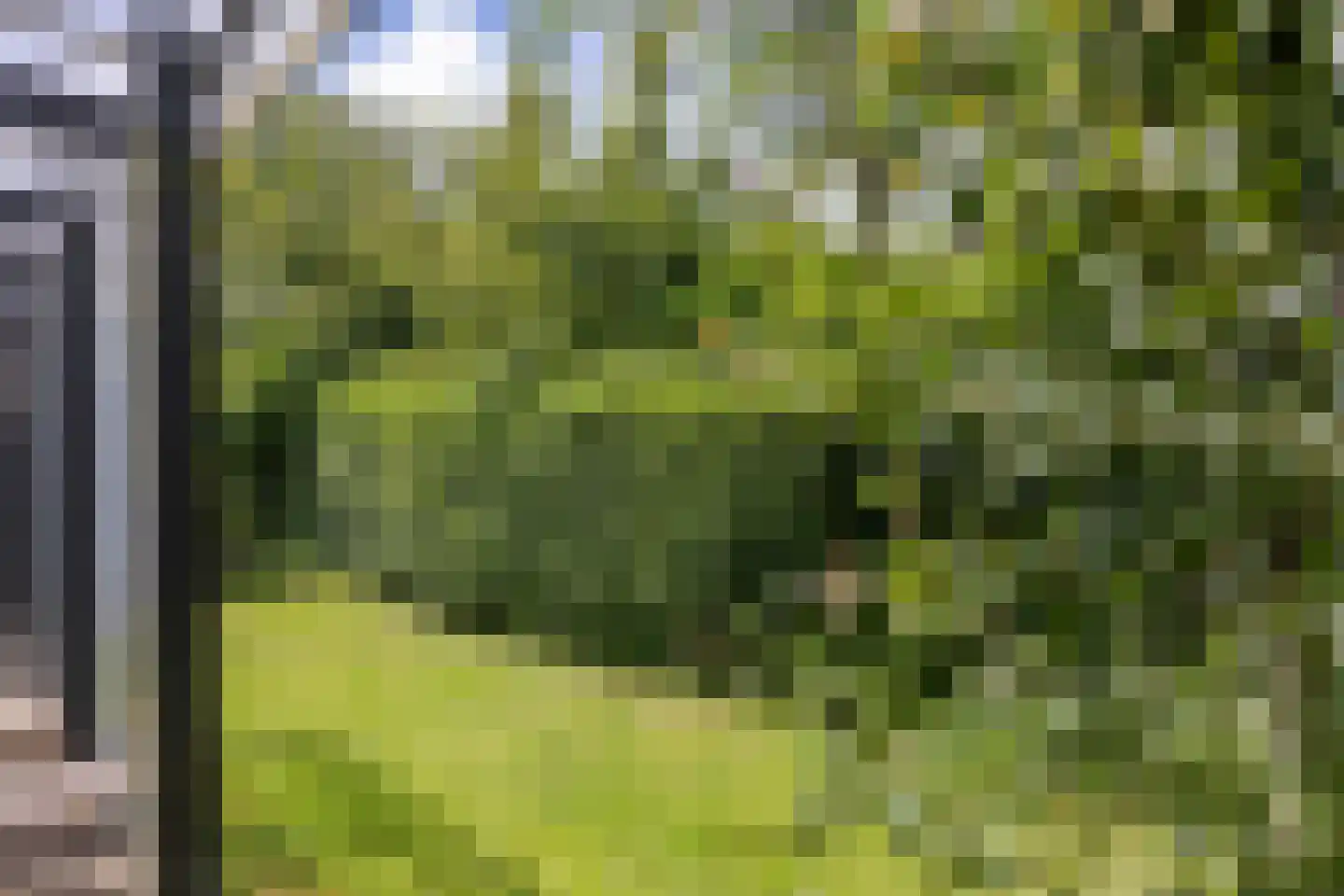 Roggeslootweg 225 De Cocksdorp thumbnail 33