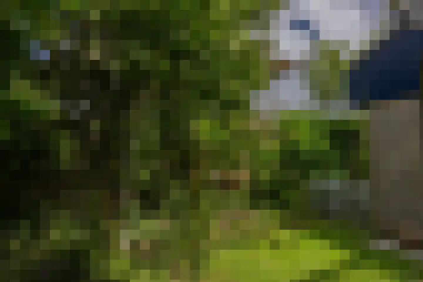 Roggeslootweg 225 De Cocksdorp thumbnail 35