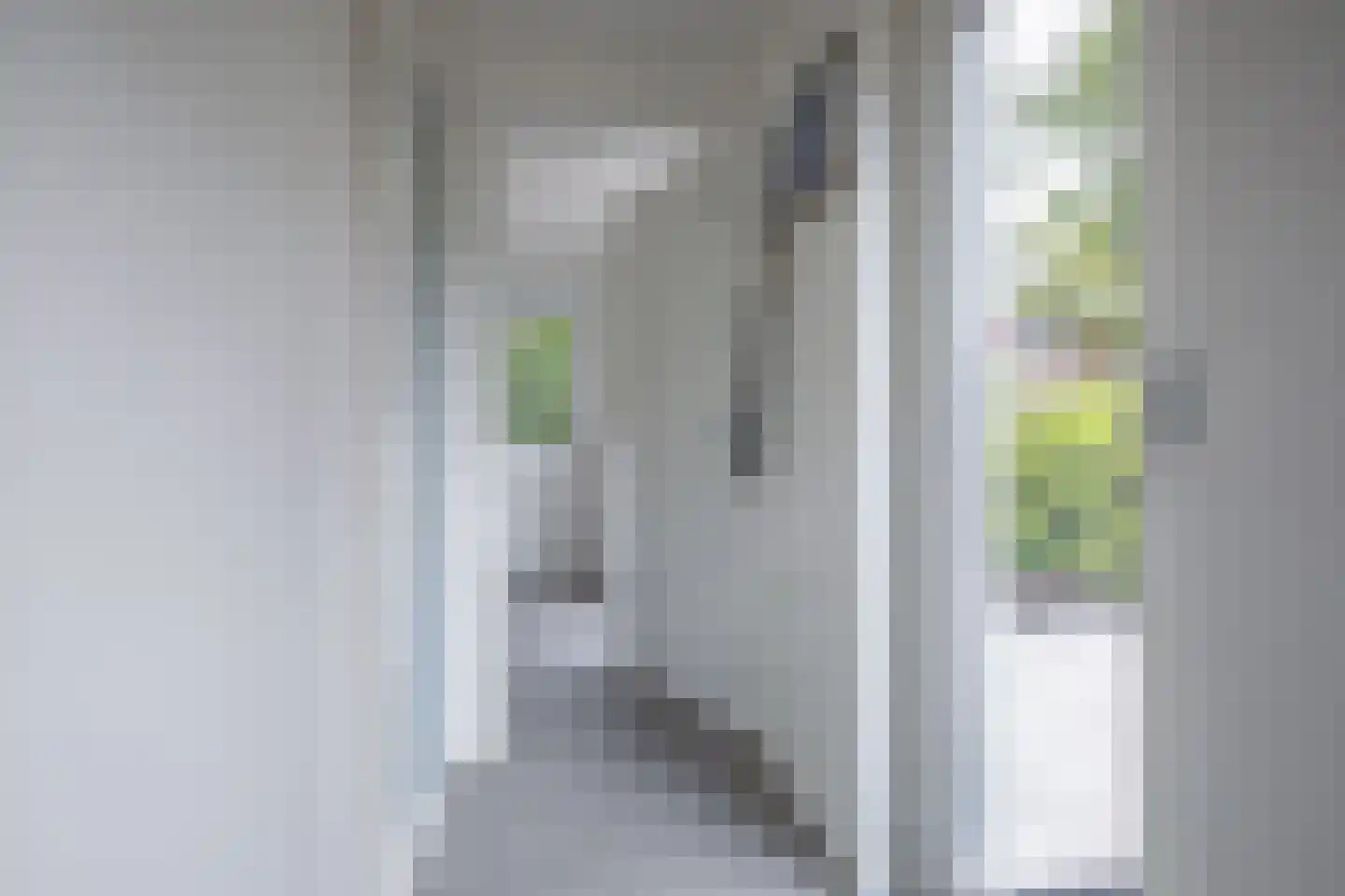 Roggeslootweg 239 De Cocksdorp thumbnail 27