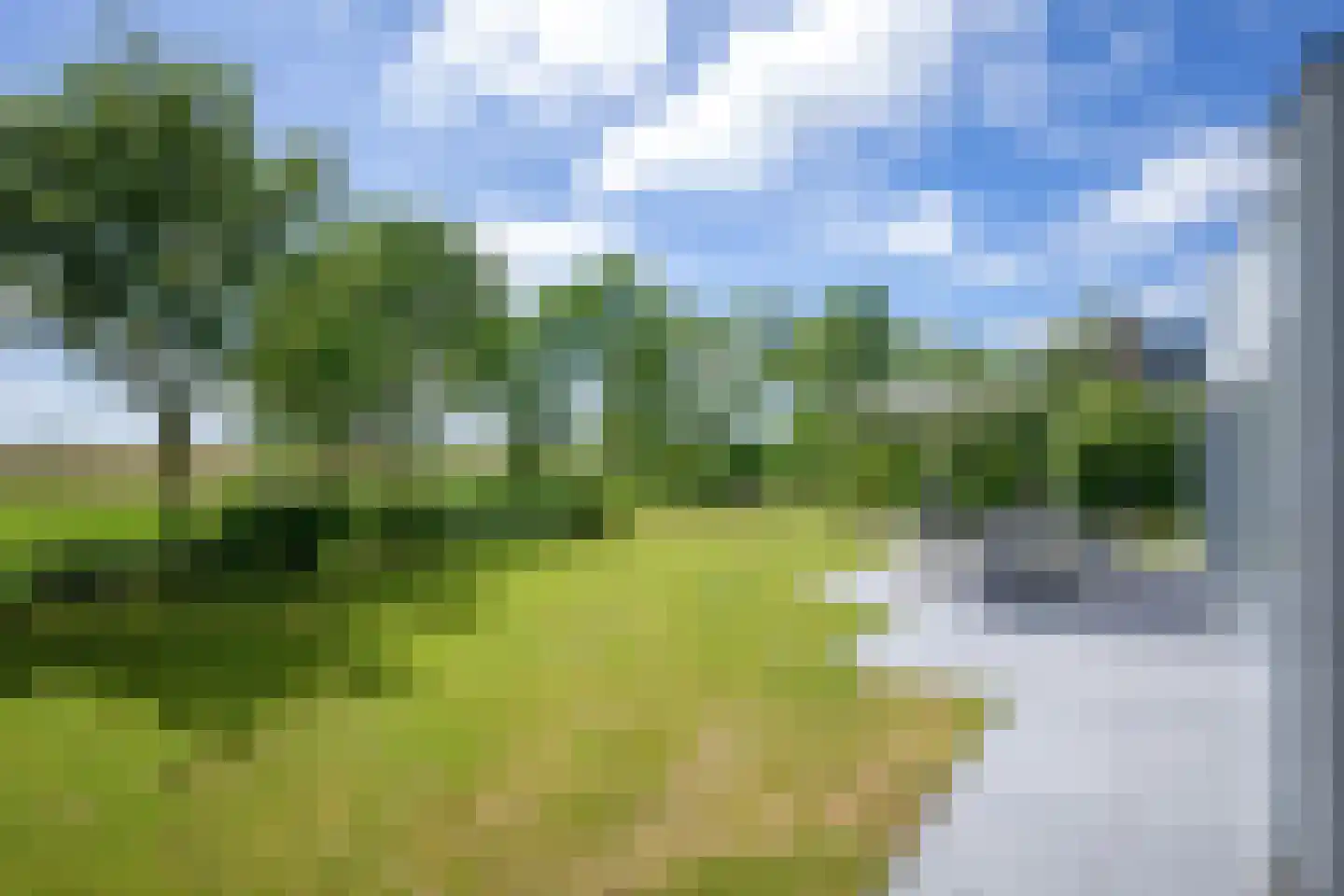 Roggeslootweg 239 De Cocksdorp thumbnail 37