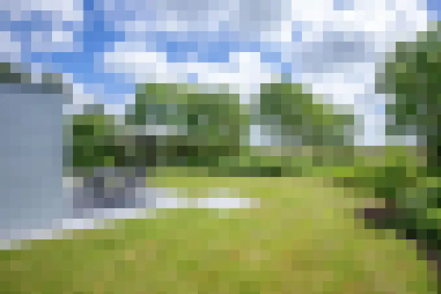 Roggeslootweg 239 De Cocksdorp thumbnail 39