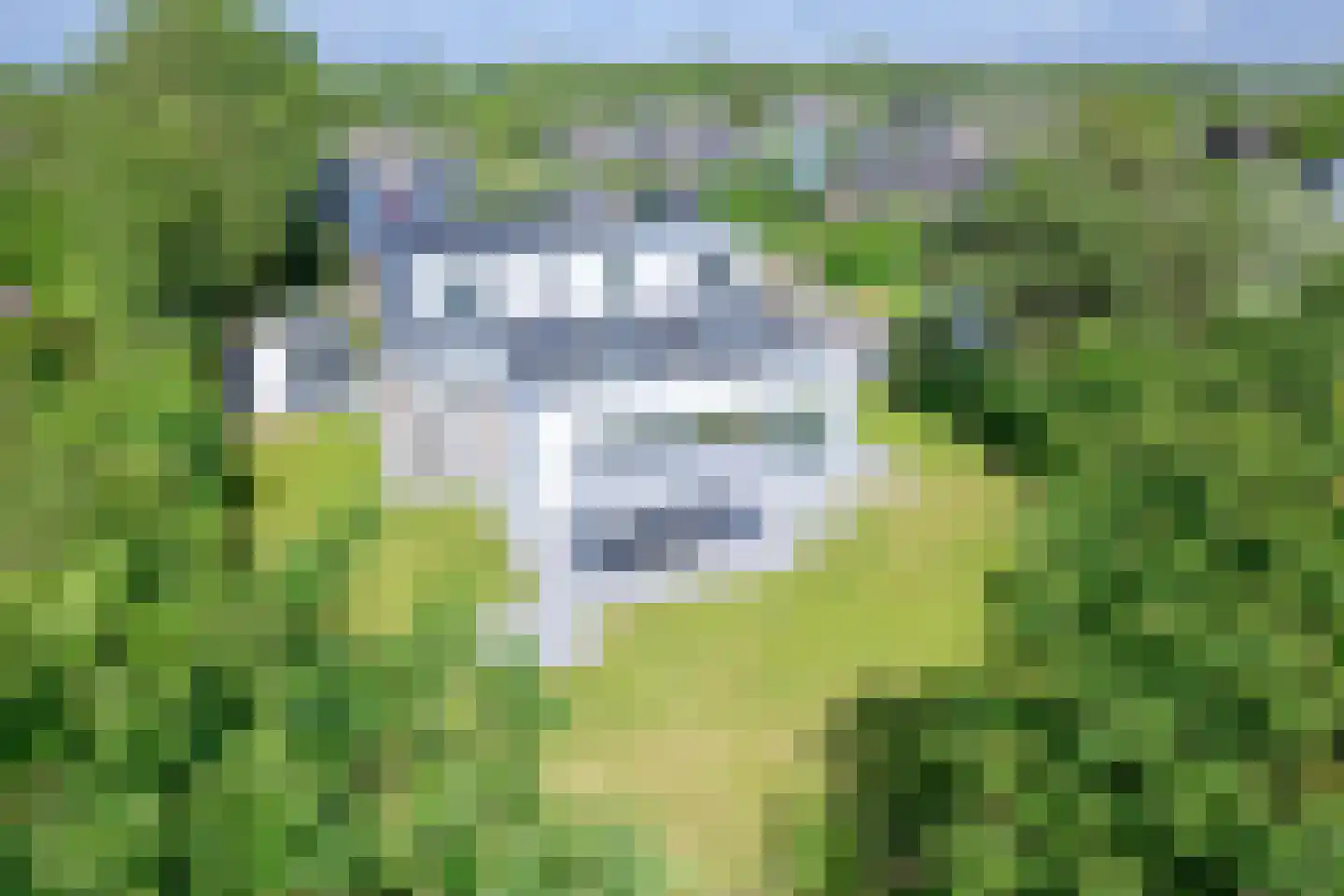 Roggeslootweg 239 De Cocksdorp thumbnail 4