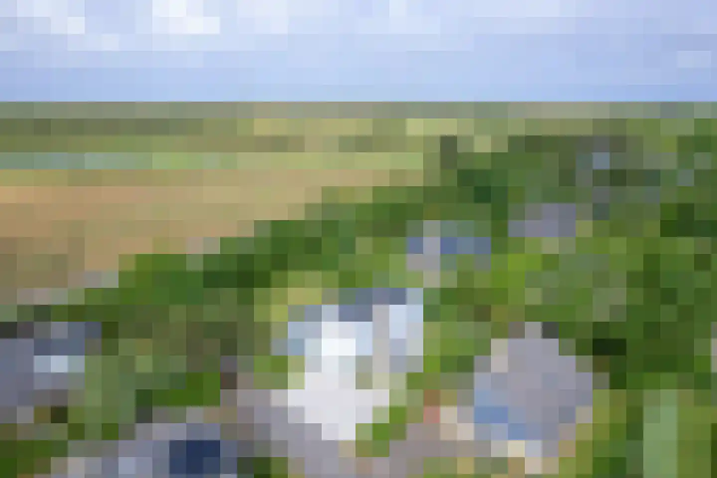 Roggeslootweg 239 De Cocksdorp thumbnail 54
