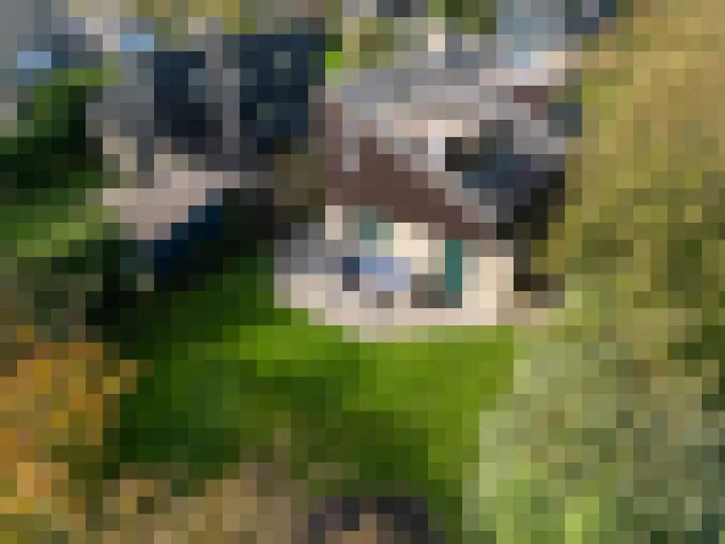 Roggeslootweg 255 De Cocksdorp thumbnail 10