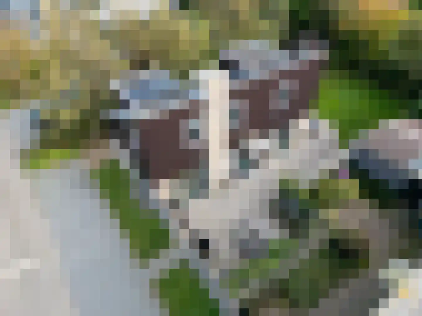 Roggeslootweg 255 De Cocksdorp thumbnail 11