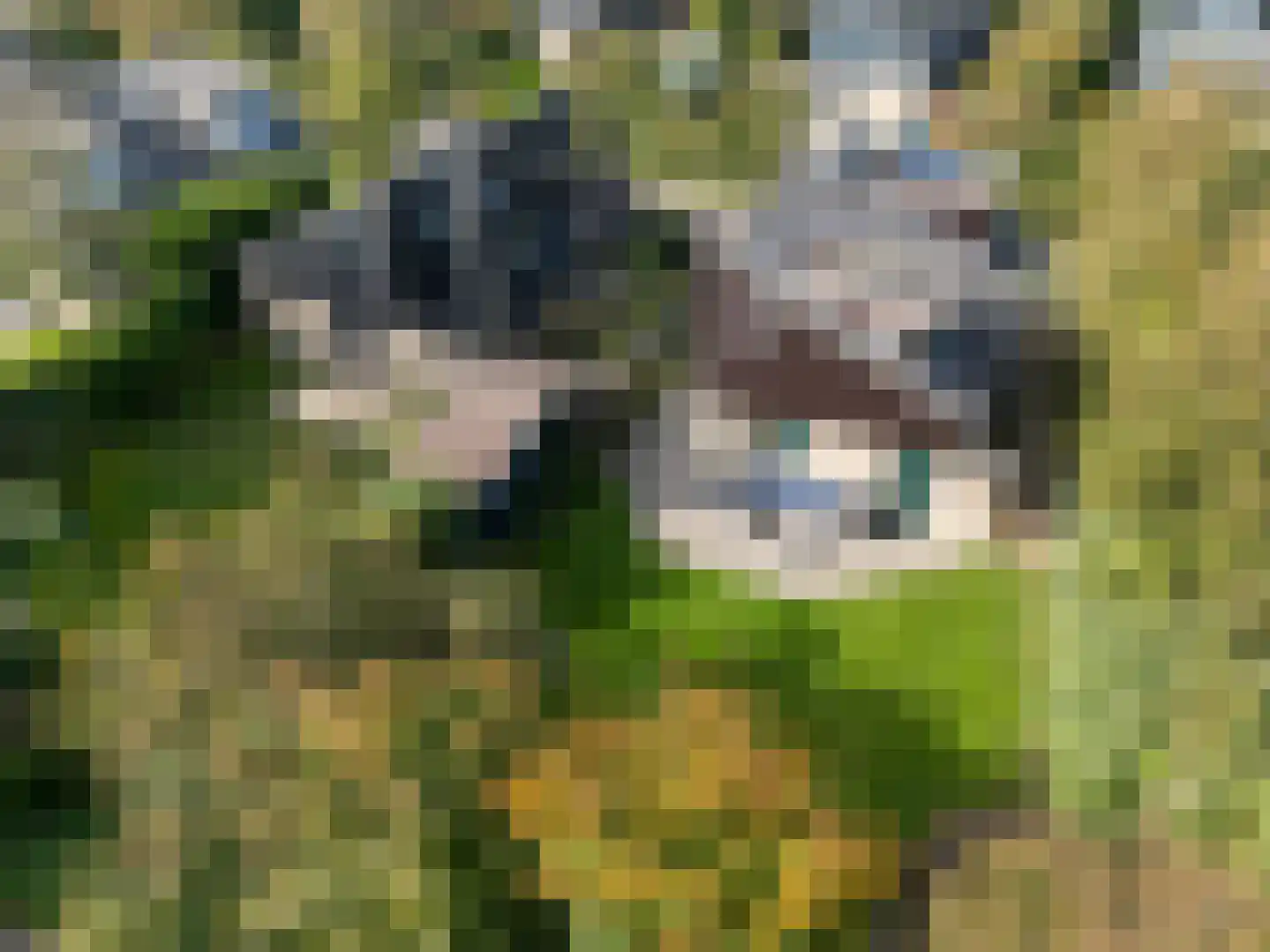 Roggeslootweg 255 De Cocksdorp thumbnail 27