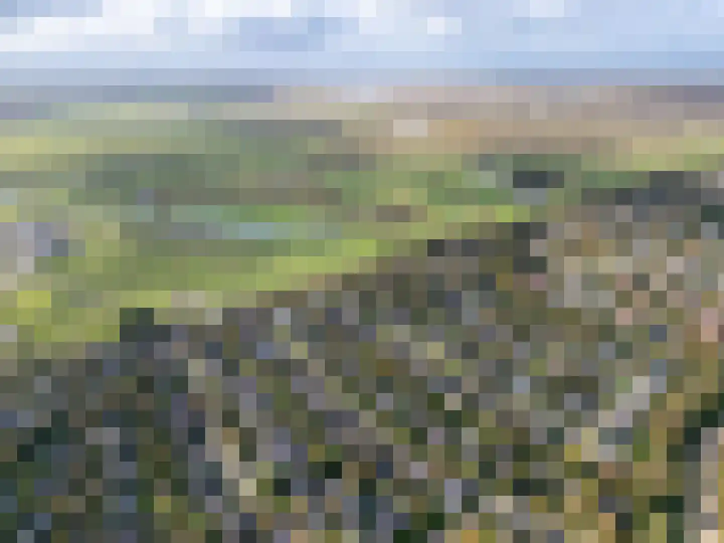 Roggeslootweg 255 De Cocksdorp thumbnail 4