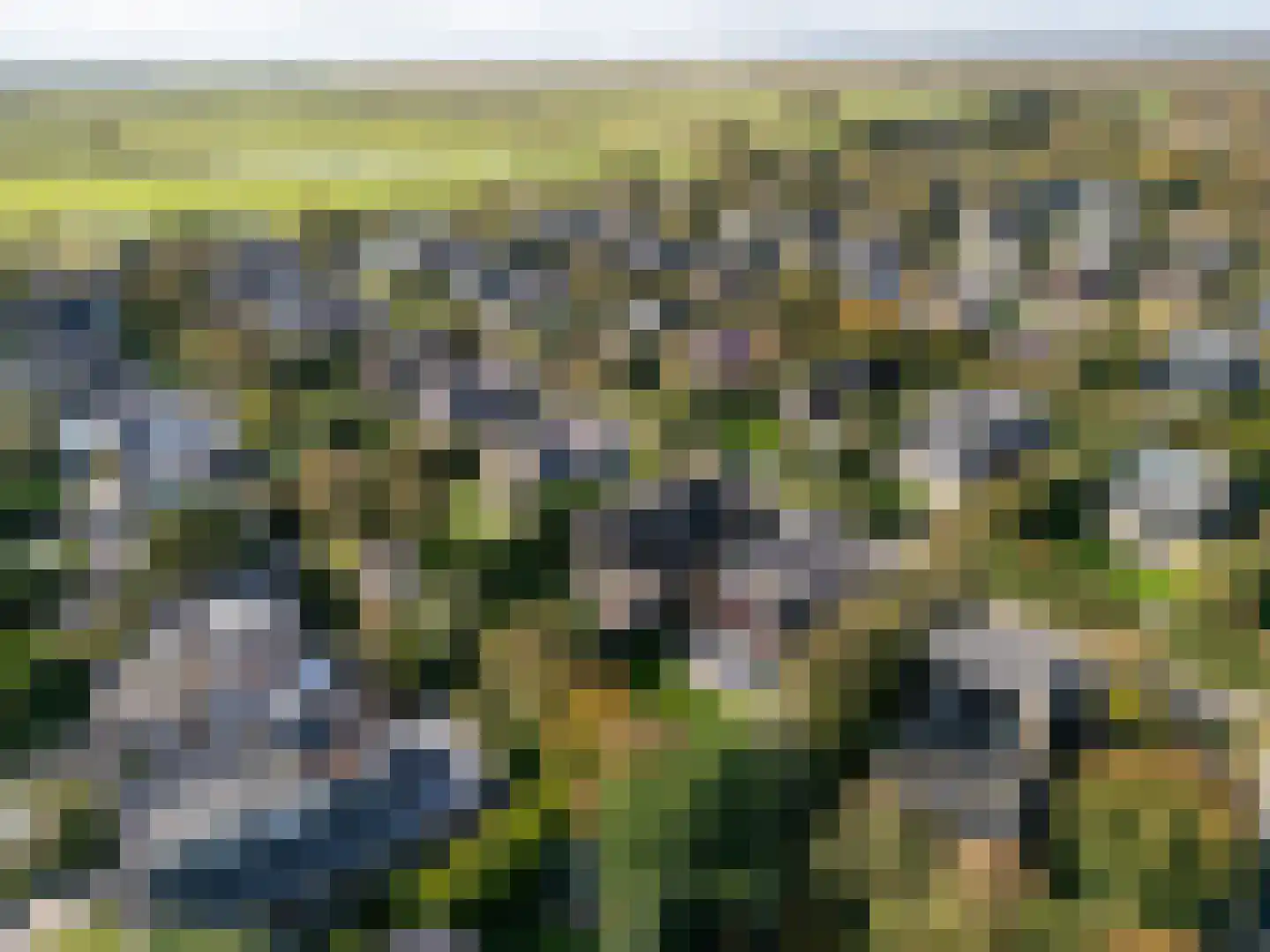 Roggeslootweg 255 De Cocksdorp thumbnail 5