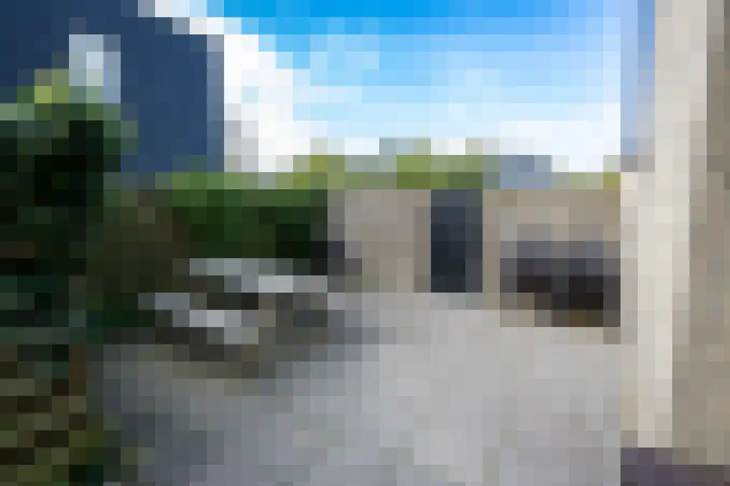 Roggeslootweg 255 De Cocksdorp thumbnail 8