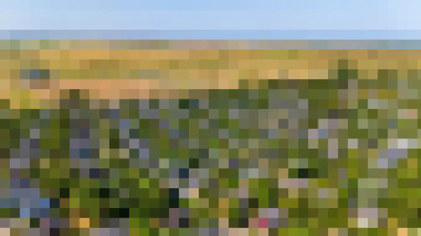 Roggeslootweg 259 De Cocksdorp thumbnail 22
