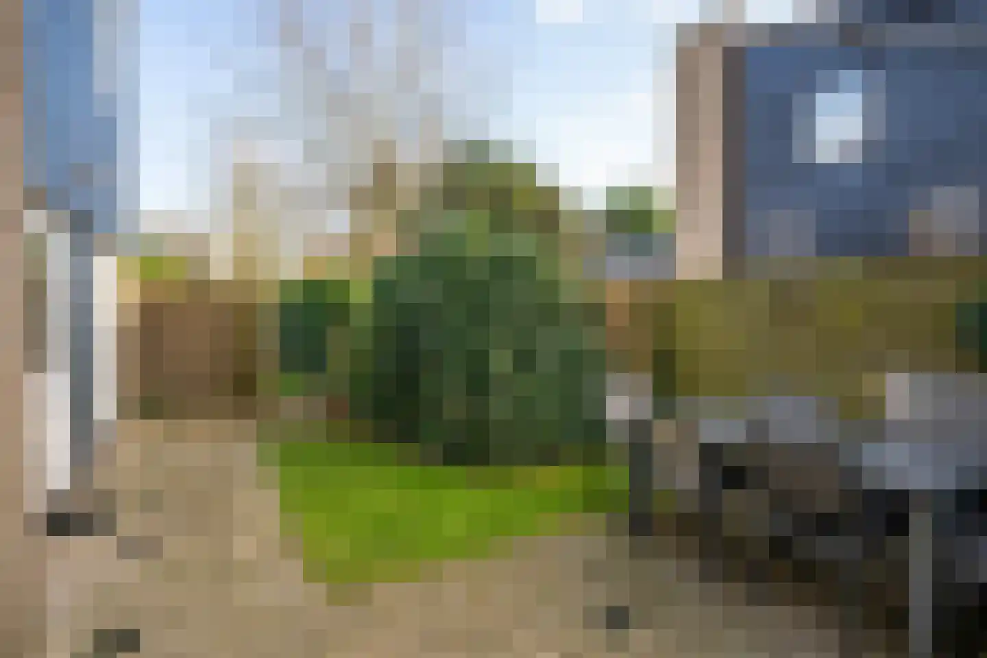 Roggeslootweg 259 De Cocksdorp thumbnail 28