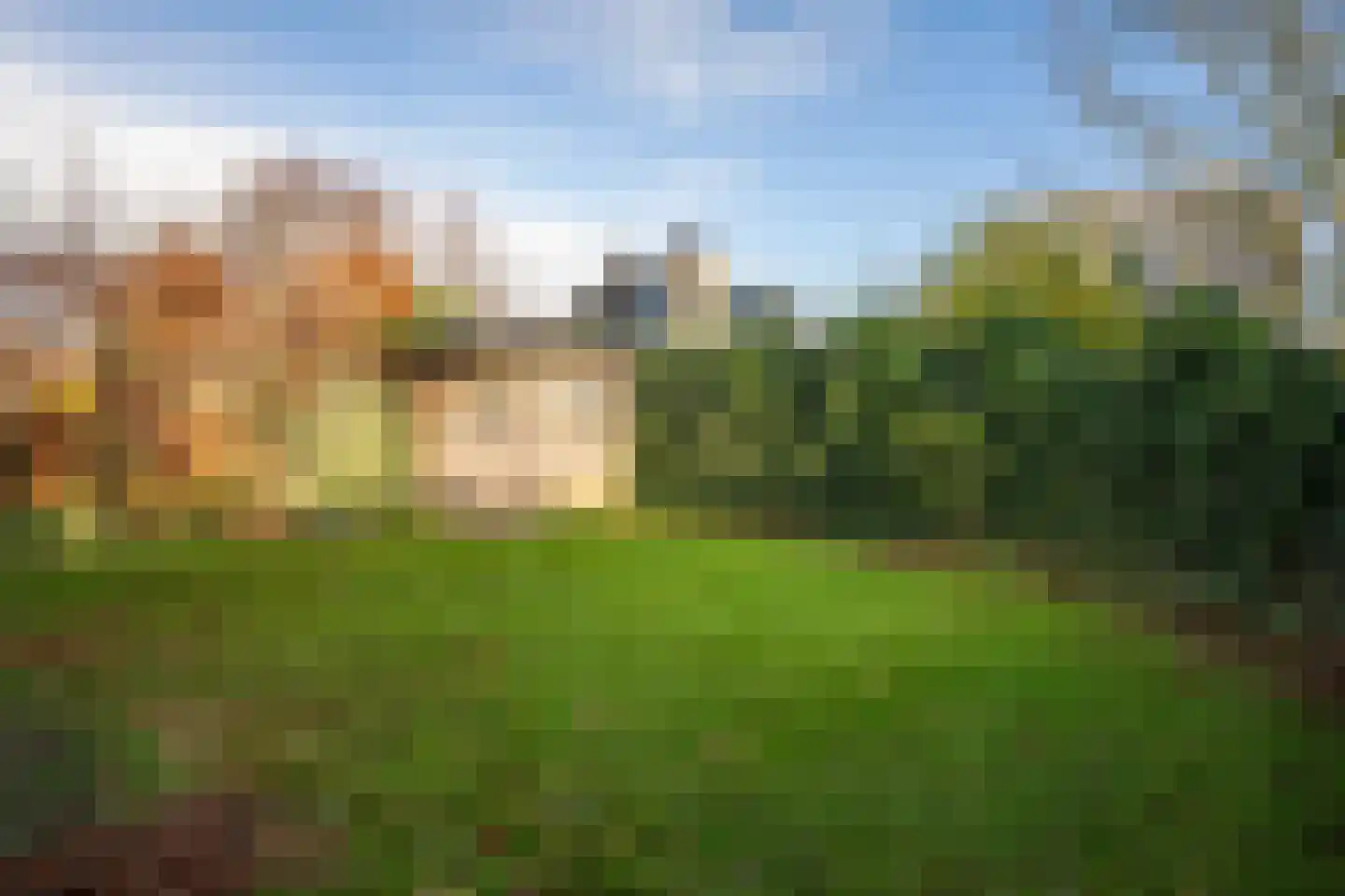 Roggeslootweg 259 De Cocksdorp thumbnail 29