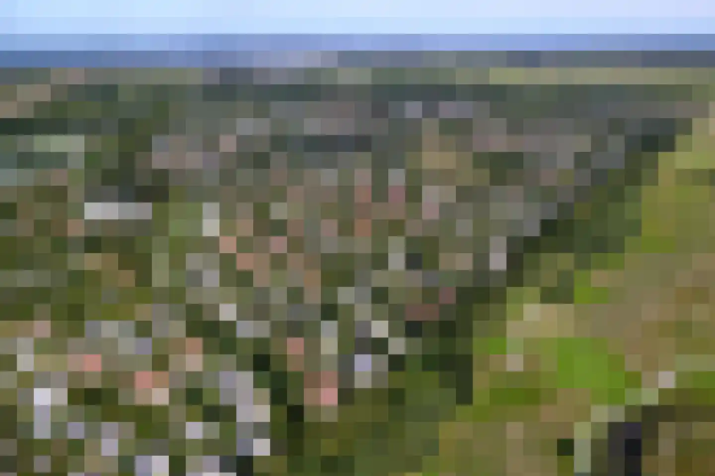 Roggeslootweg 259 De Cocksdorp thumbnail 32