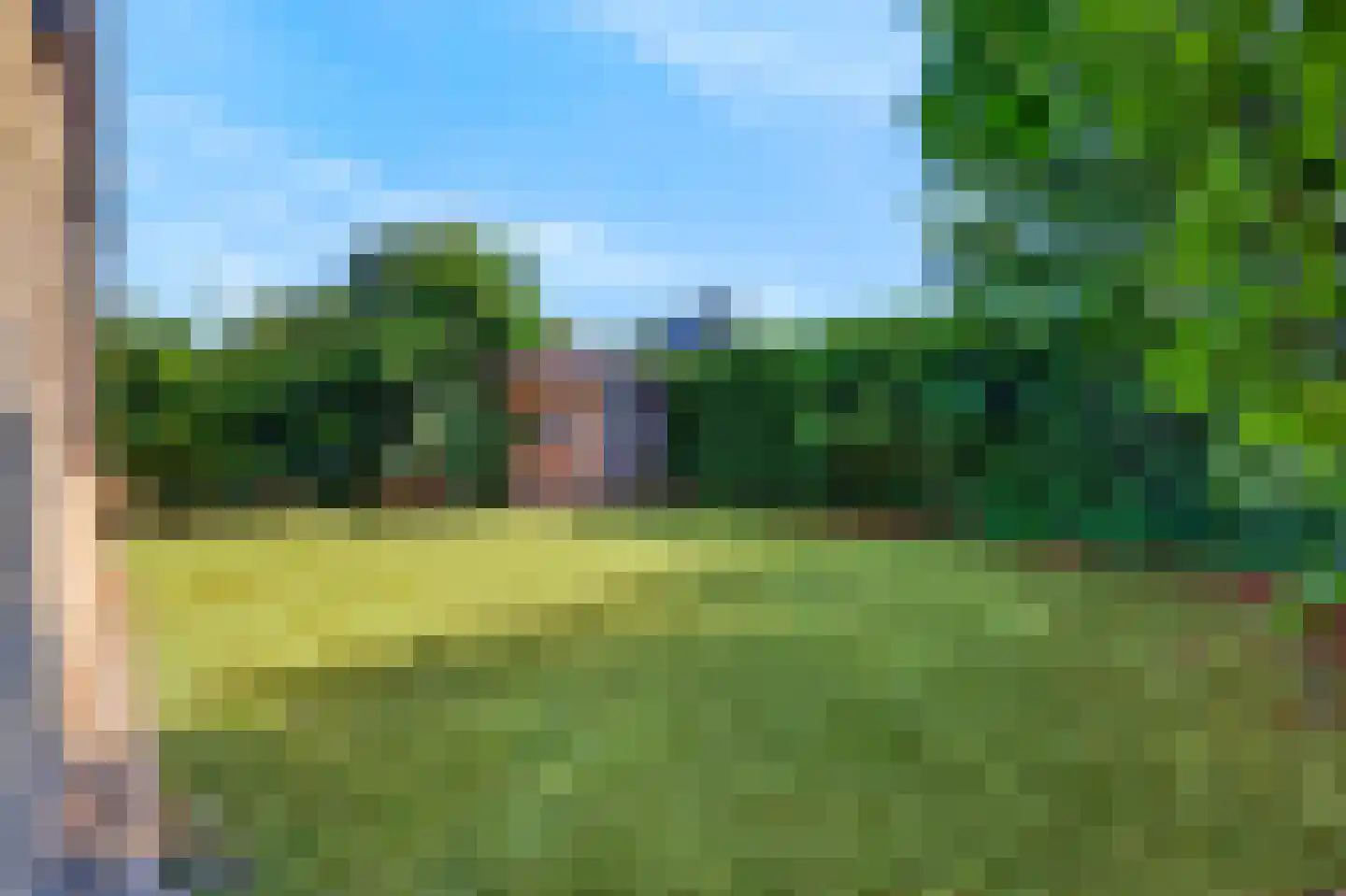 Roggeslootweg 259 De Cocksdorp thumbnail 6