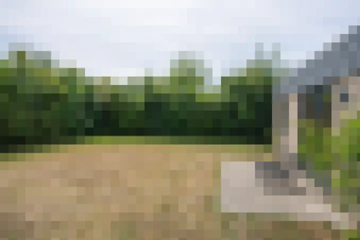 Roggeslootweg 271 De Cocksdorp thumbnail 42