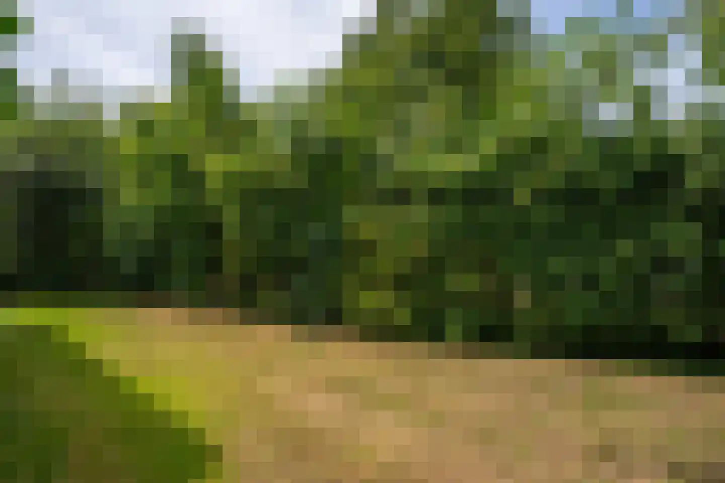 Roggeslootweg 271 De Cocksdorp thumbnail 43