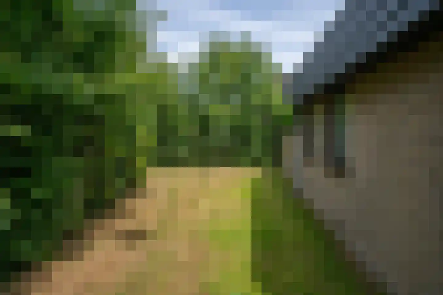 Roggeslootweg 271 De Cocksdorp thumbnail 45