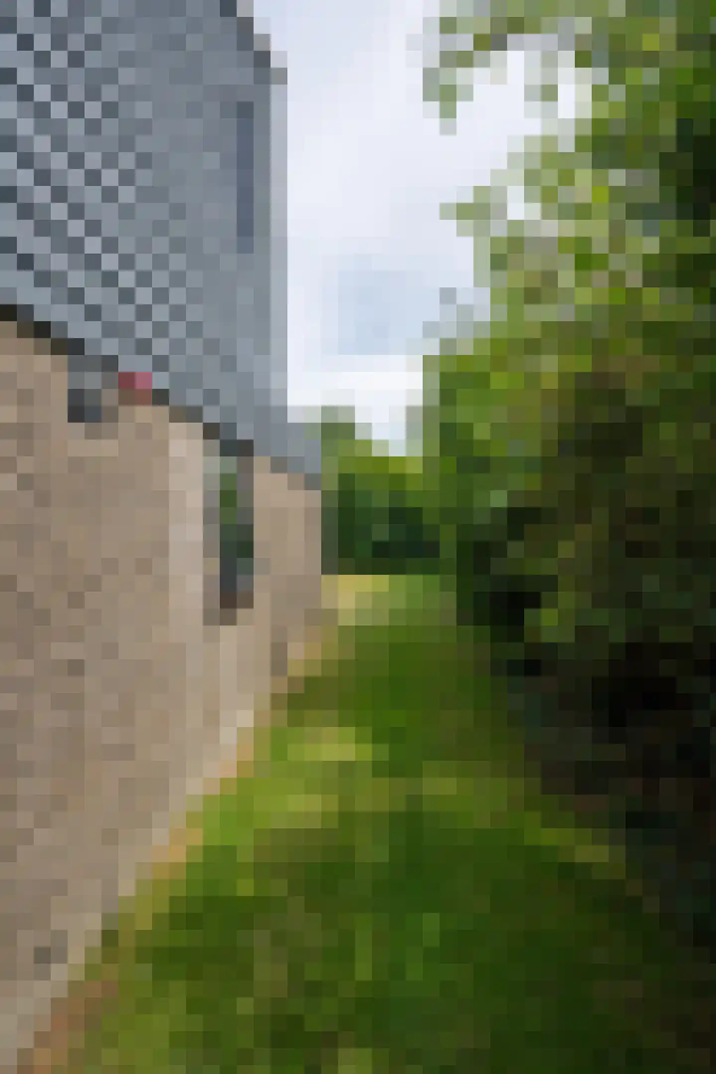 Roggeslootweg 271 De Cocksdorp thumbnail 46