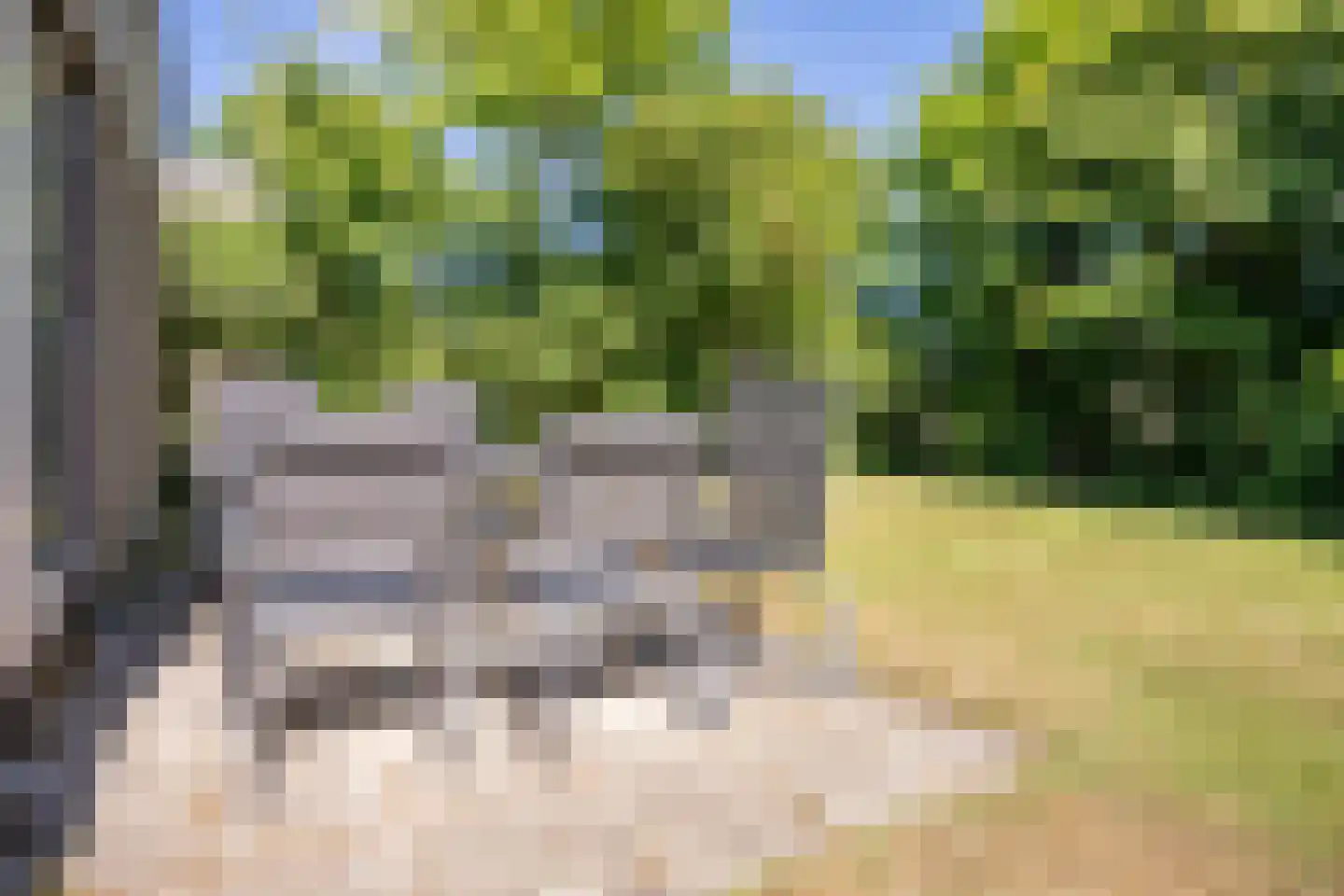 Roggeslootweg 283 De Cocksdorp thumbnail 47