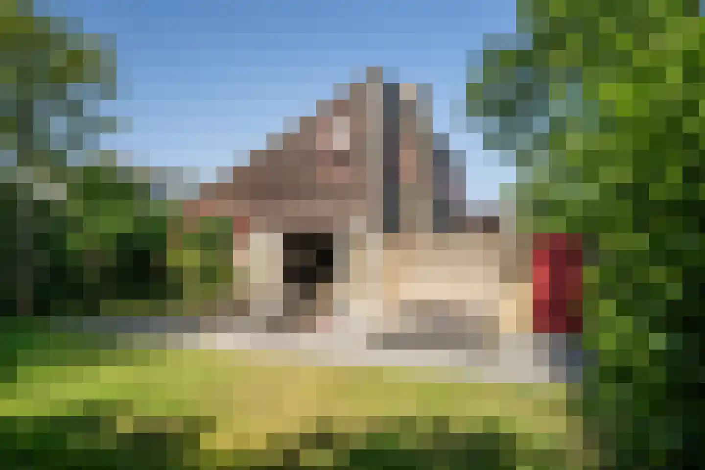 Roggeslootweg 285 in De Cocksdorp