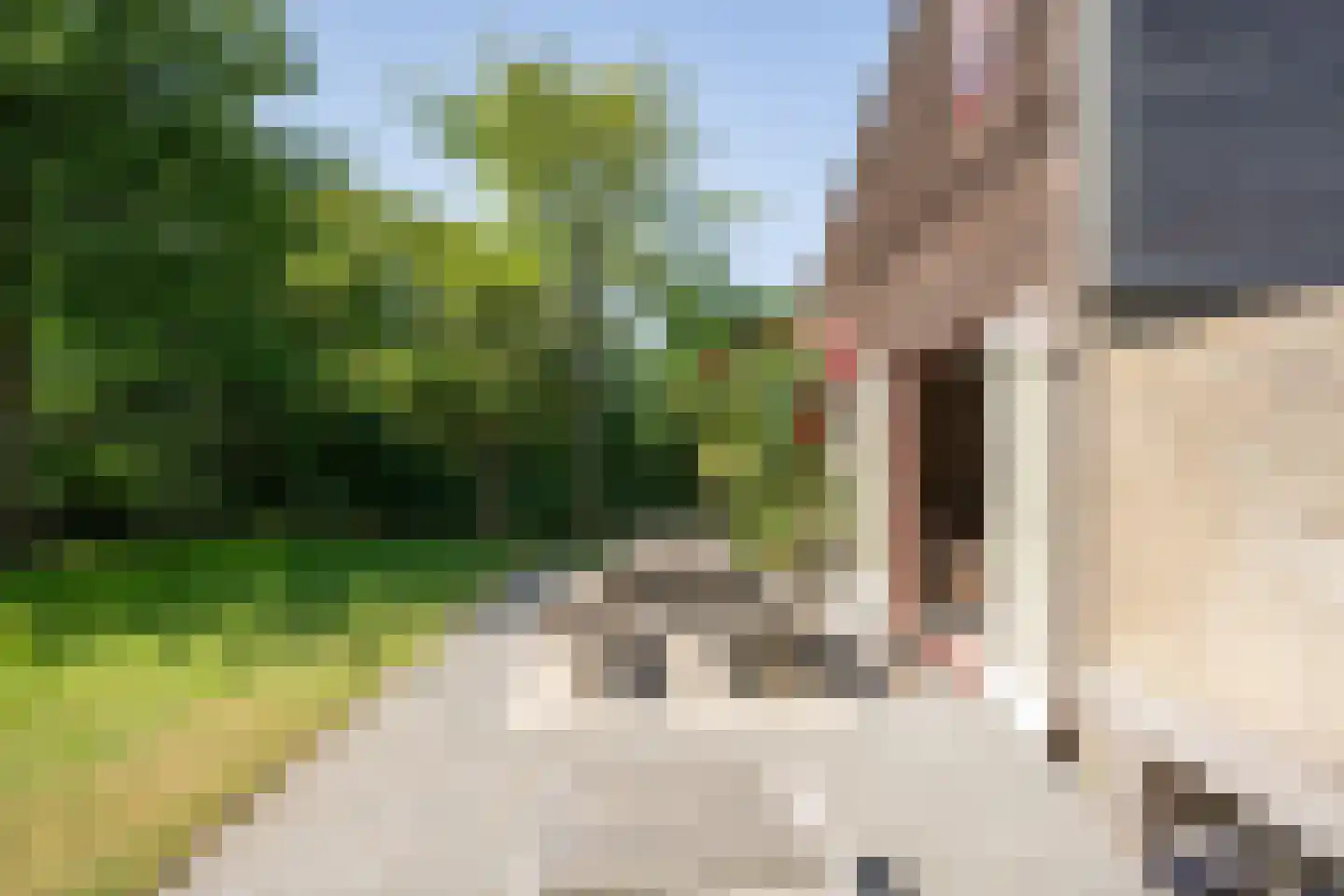 Roggeslootweg 285 De Cocksdorp thumbnail 36