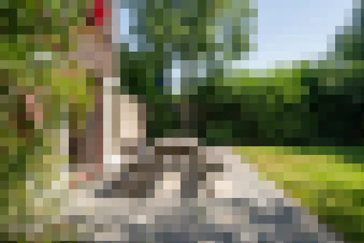 Roggeslootweg 285 De Cocksdorp thumbnail 38