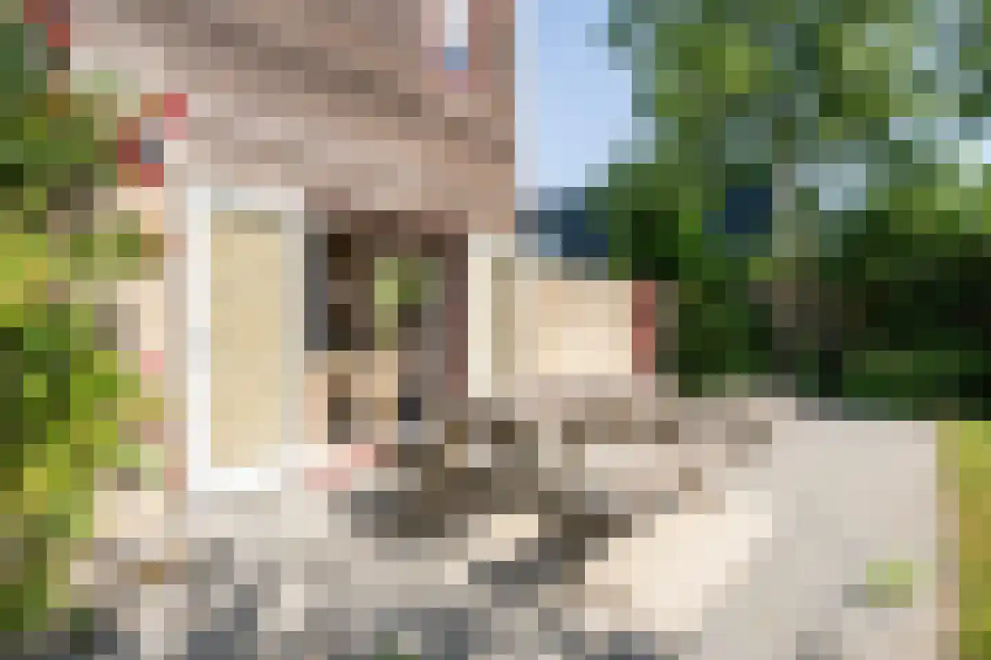 Roggeslootweg 285 De Cocksdorp thumbnail 42