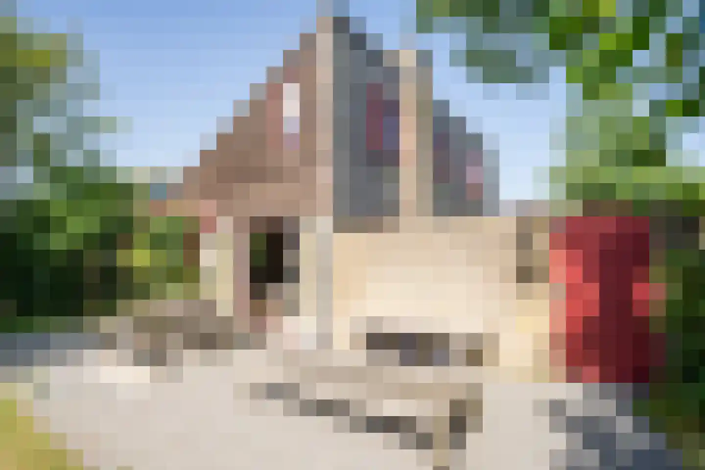 Roggeslootweg 285 De Cocksdorp thumbnail 44