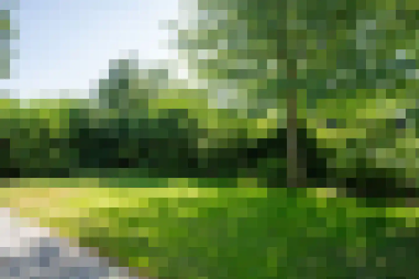 Roggeslootweg 285 De Cocksdorp thumbnail 45