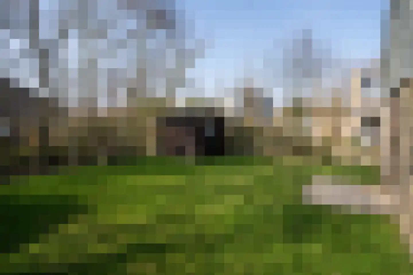 Roggeslootweg 297 De Cocksdorp thumbnail 26