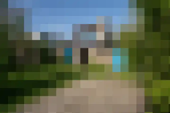 Roggeslootweg 299 De Cocksdorp thumbnail 28