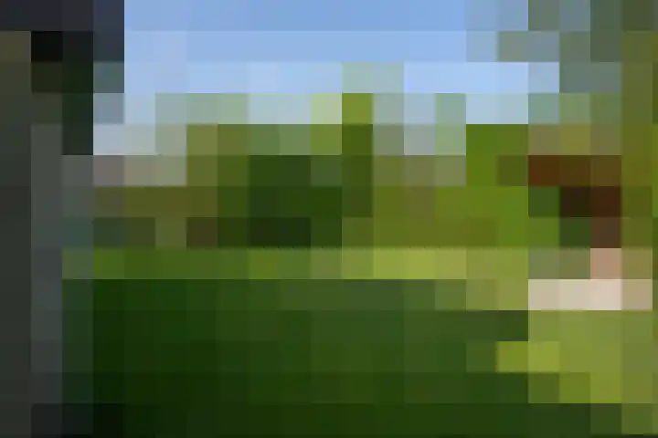 Roggeslootweg 299 De Cocksdorp thumbnail 31