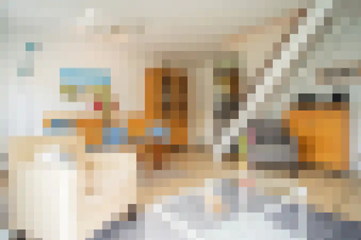 Roggeslootweg 307 De Cocksdorp thumbnail 17