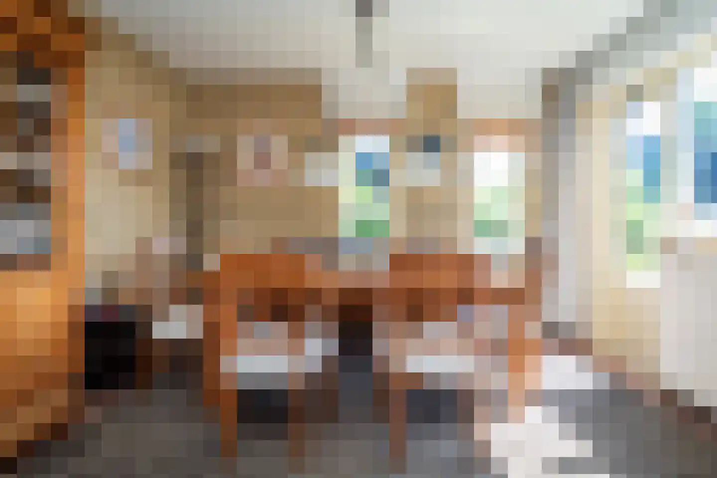 Roggeslootweg 313 De Cocksdorp thumbnail 17