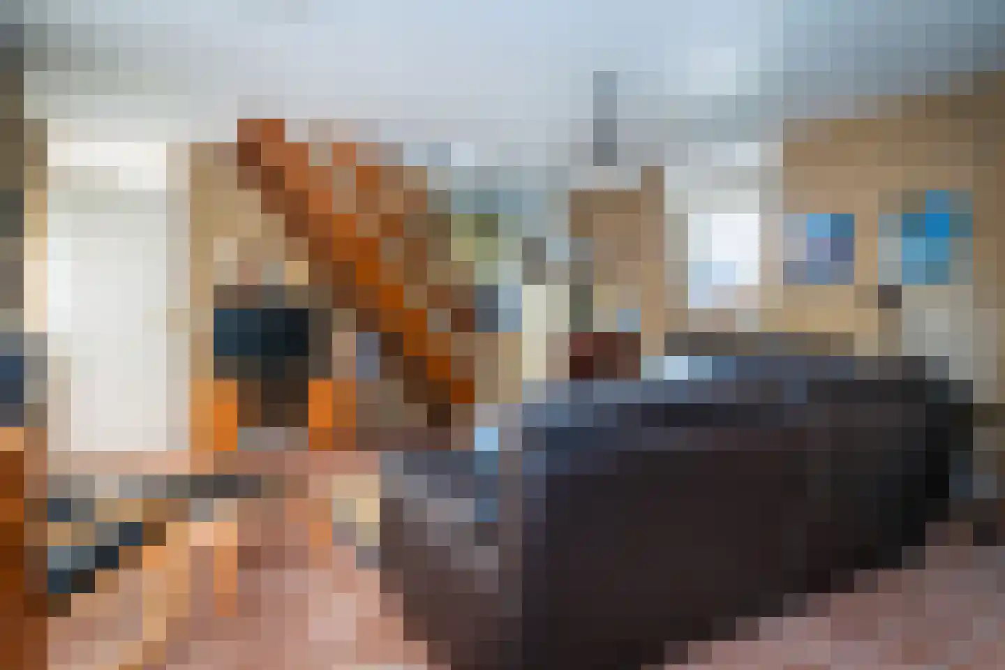 Roggeslootweg 313 De Cocksdorp thumbnail 19
