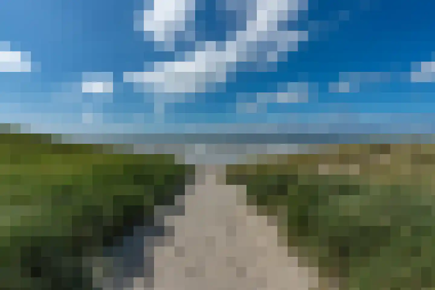 Roggeslootweg 313 De Cocksdorp thumbnail 30