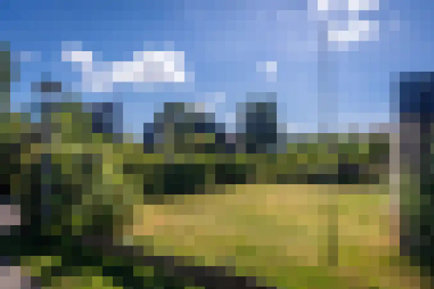 Roggeslootweg 313 De Cocksdorp thumbnail 4