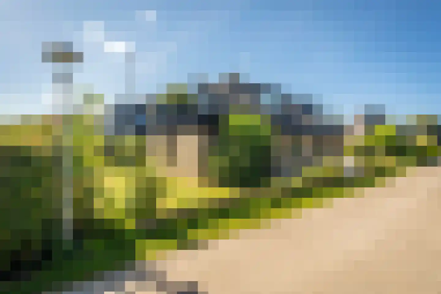 Roggeslootweg 313 De Cocksdorp thumbnail 5