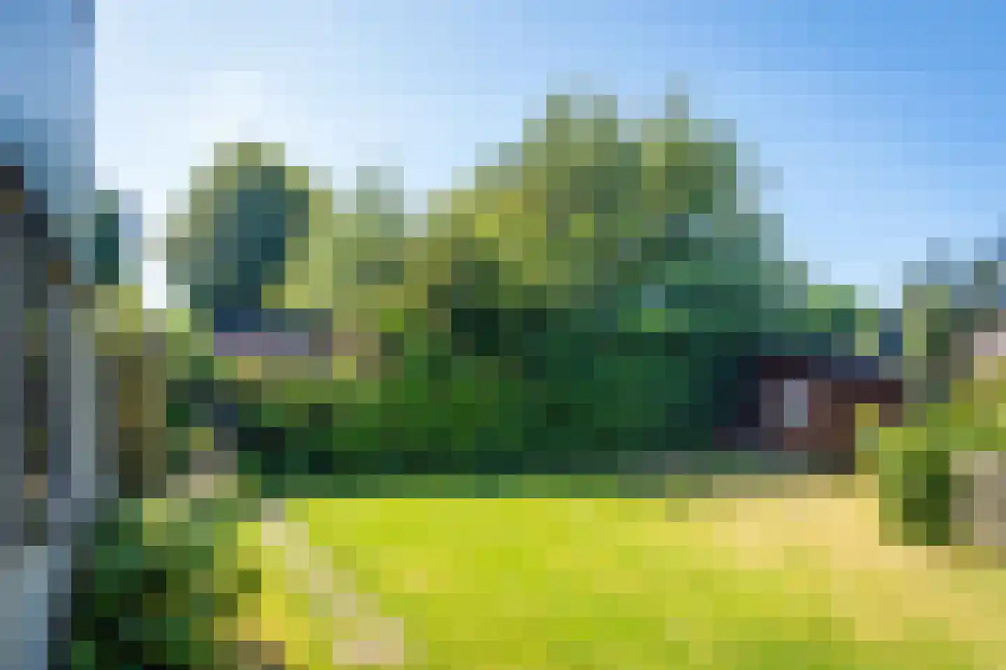 Roggeslootweg 313 De Cocksdorp thumbnail 9