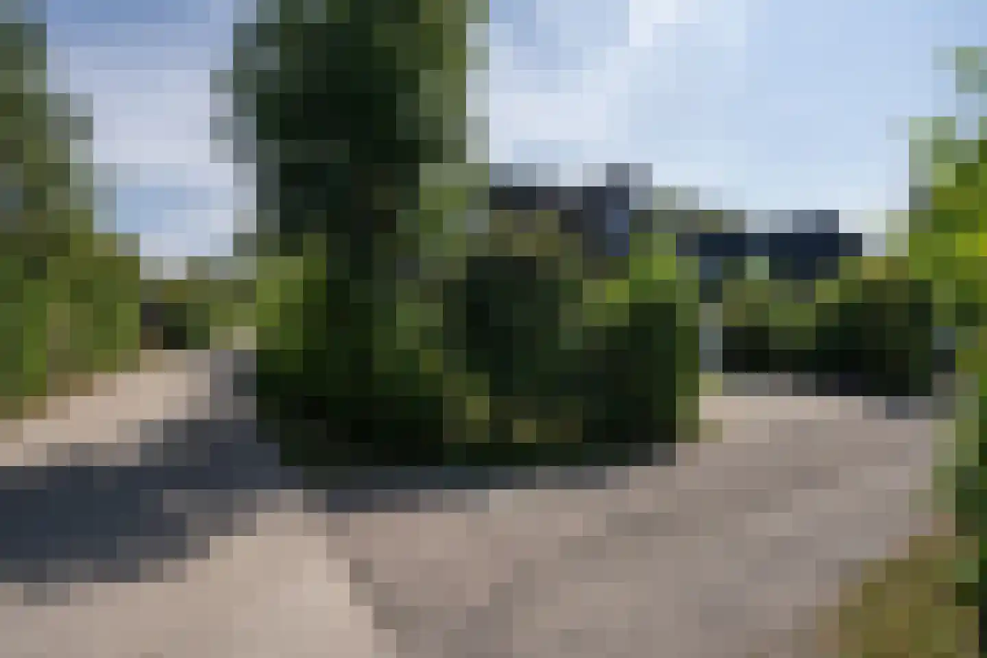 Roggeslootweg 315 De Cocksdorp thumbnail 34