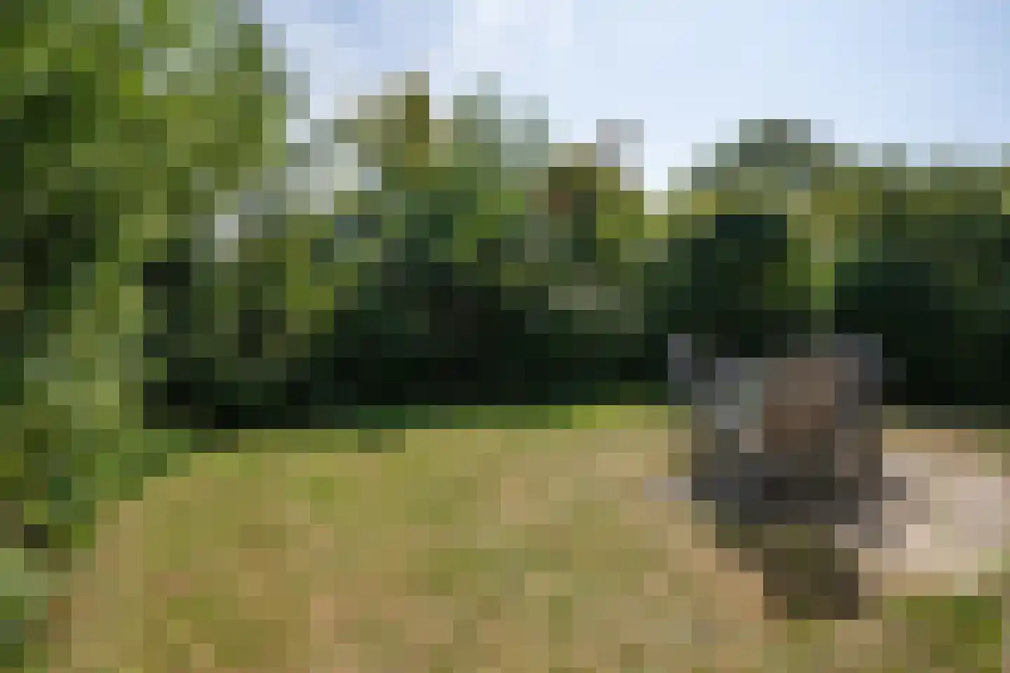 Roggeslootweg 315 De Cocksdorp thumbnail 35