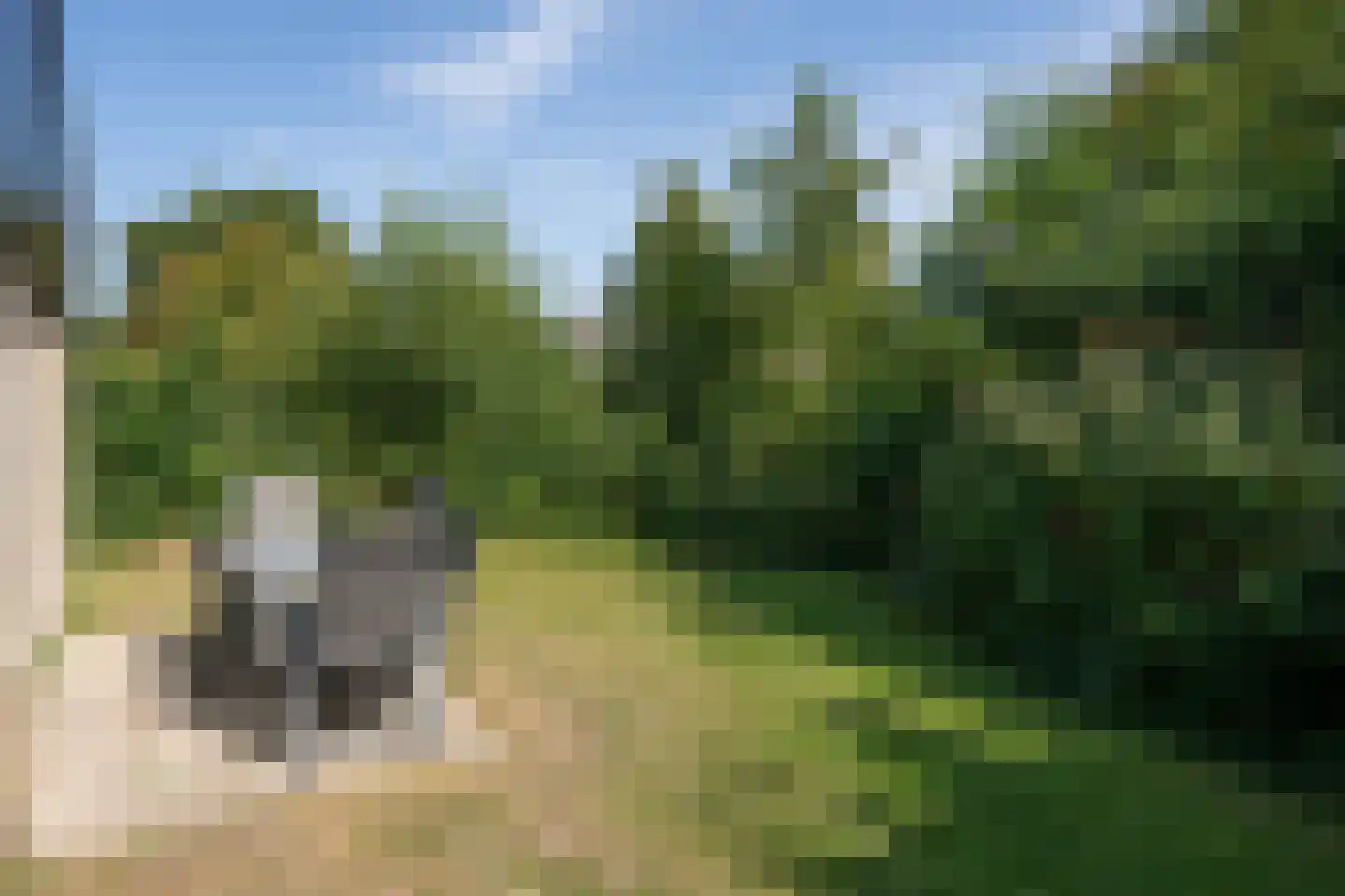 Roggeslootweg 315 De Cocksdorp thumbnail 36
