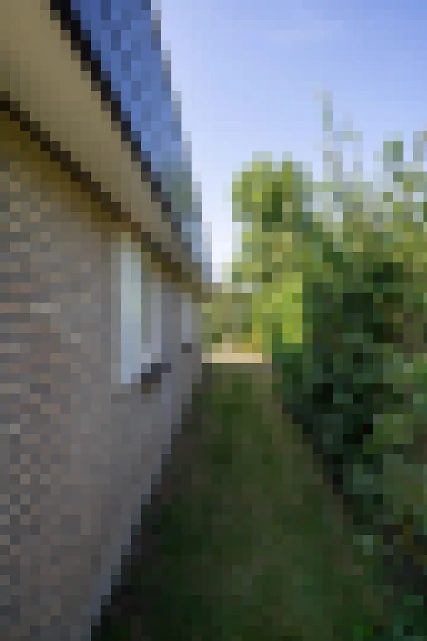 Roggeslootweg 315 De Cocksdorp thumbnail 37